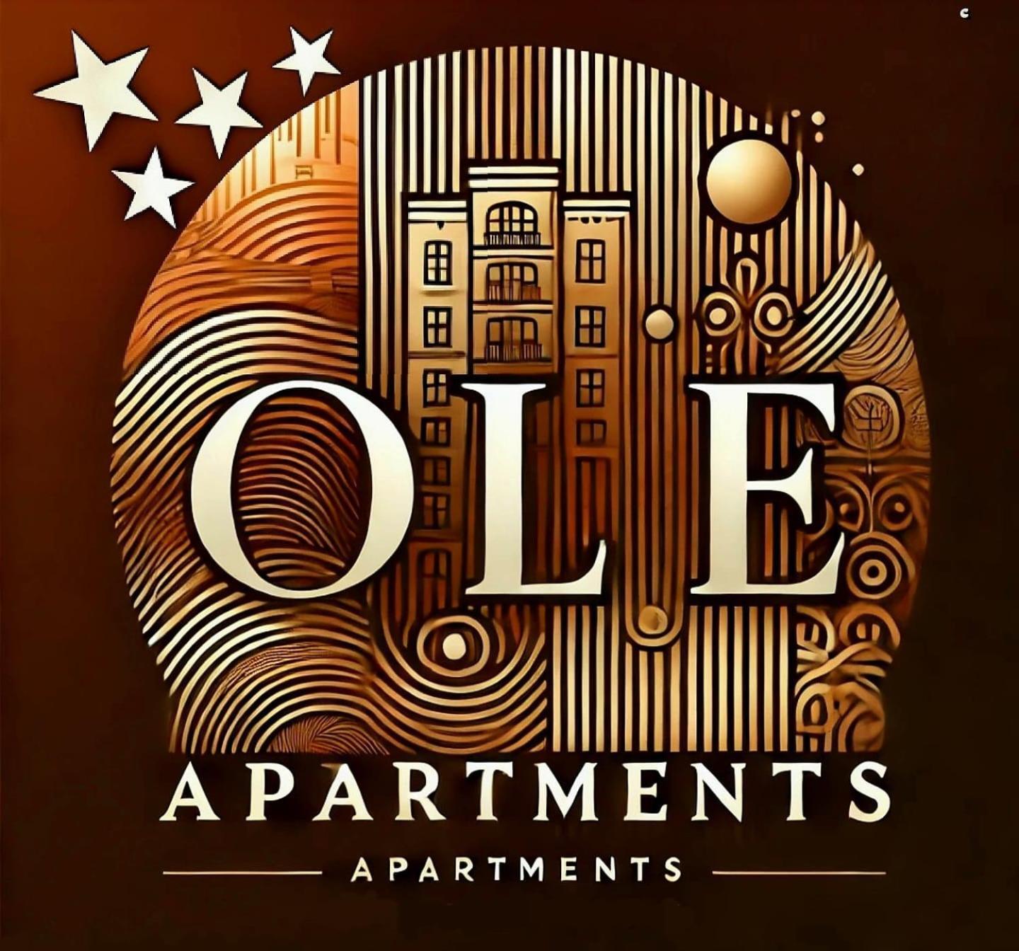 Ole Apartment - Get Your Energy For Free! Coffee And Tea On The House Тимишоара Екстериор снимка